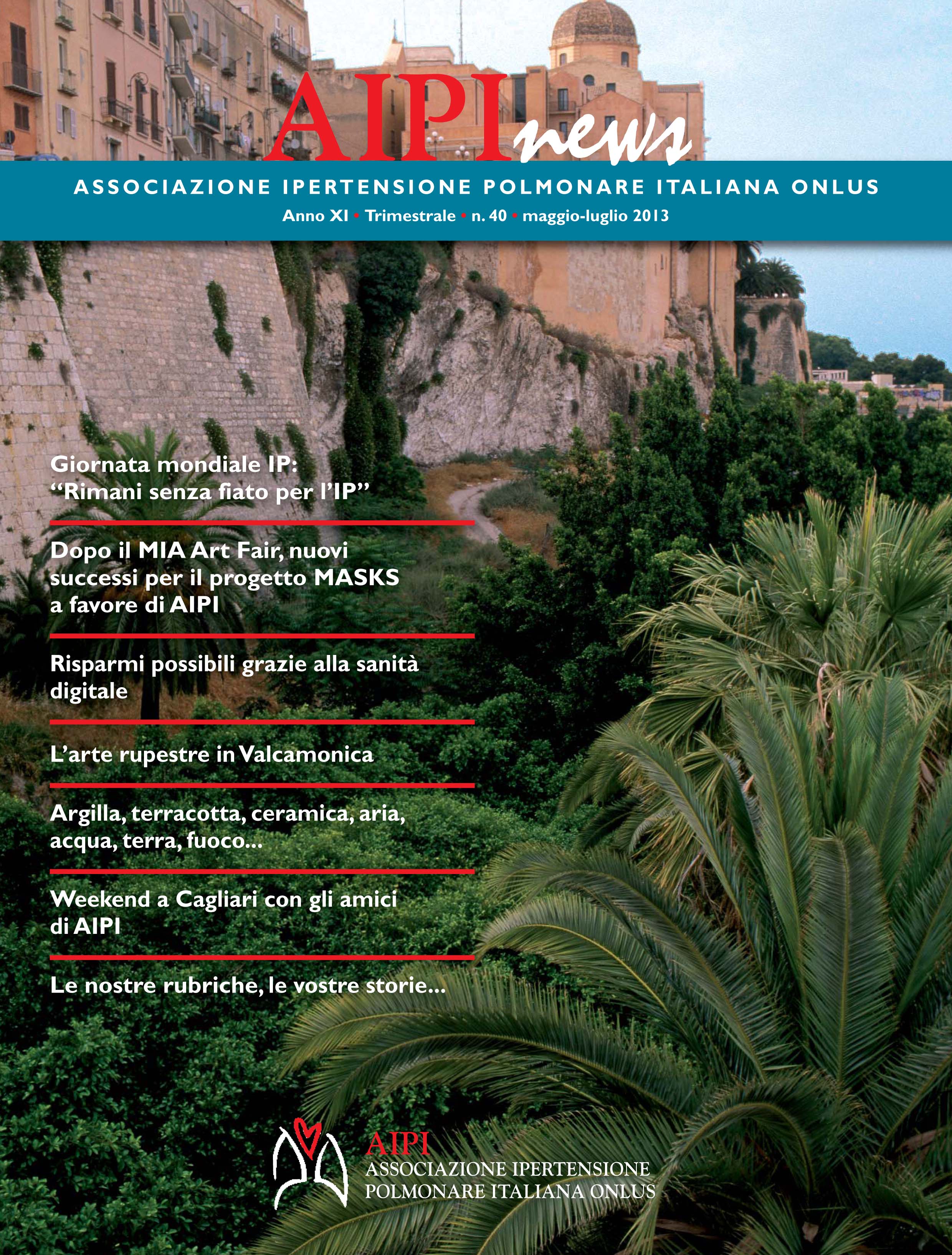 n40 – AIPInews – Anno: 2013