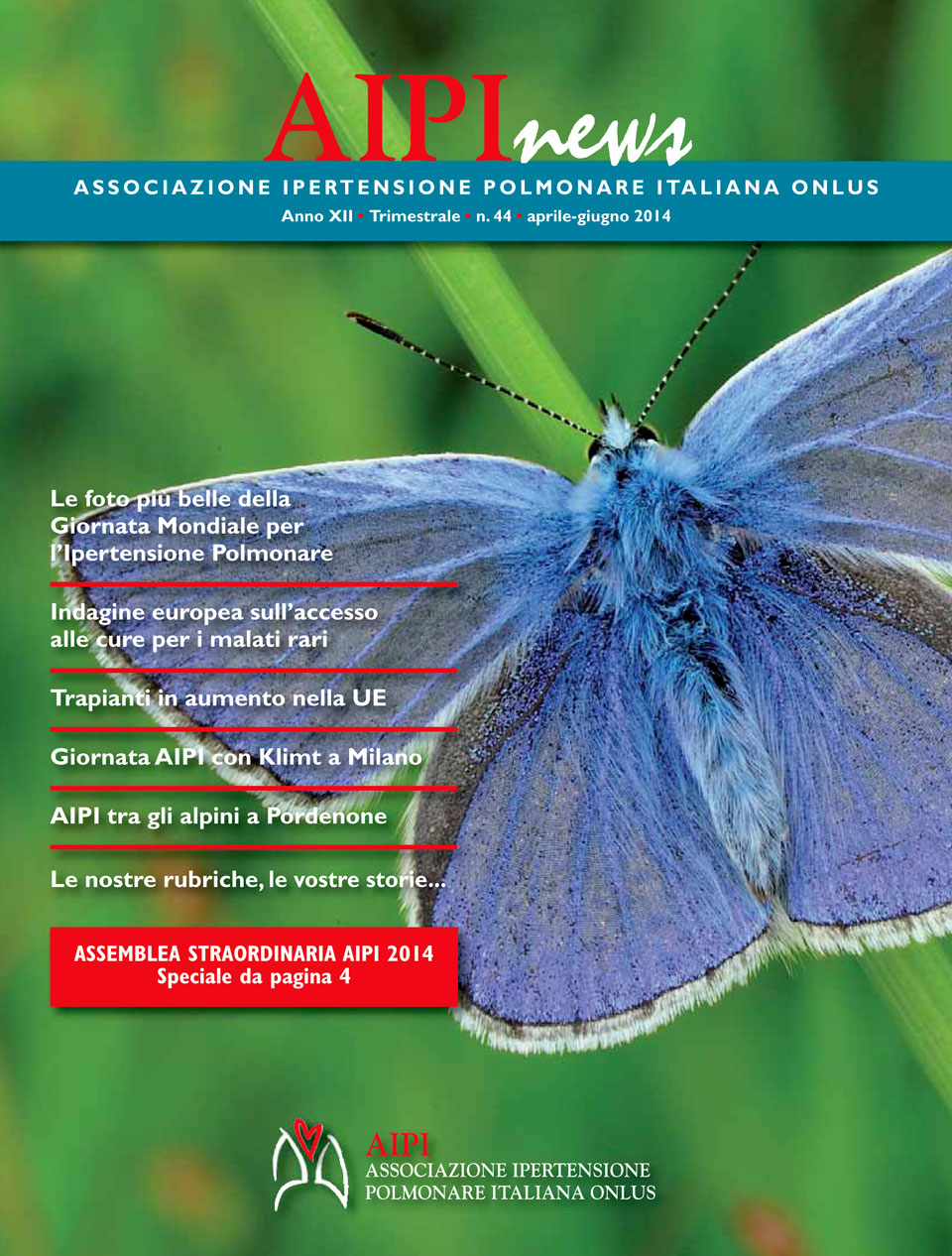 n44 – AIPInews – Anno: 2014