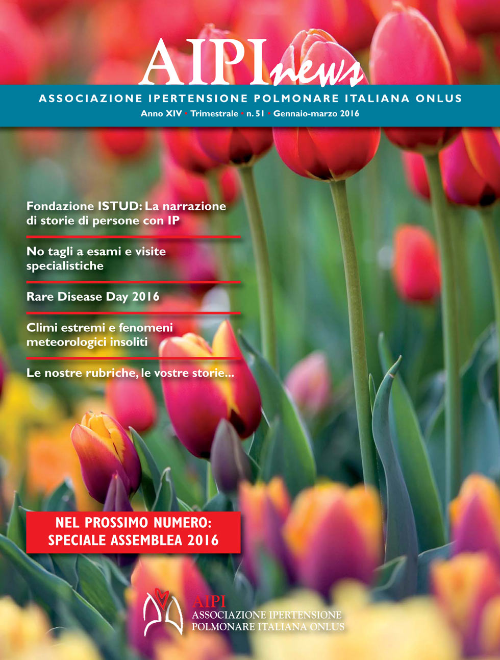 n51 – AIPInews – Anno: 2015