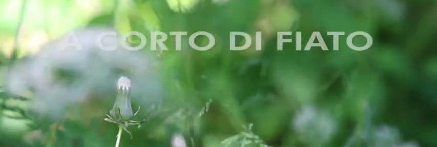 Video “A corto di fiato”