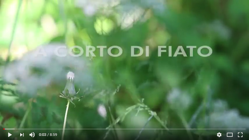 Video “A corto di fiato”