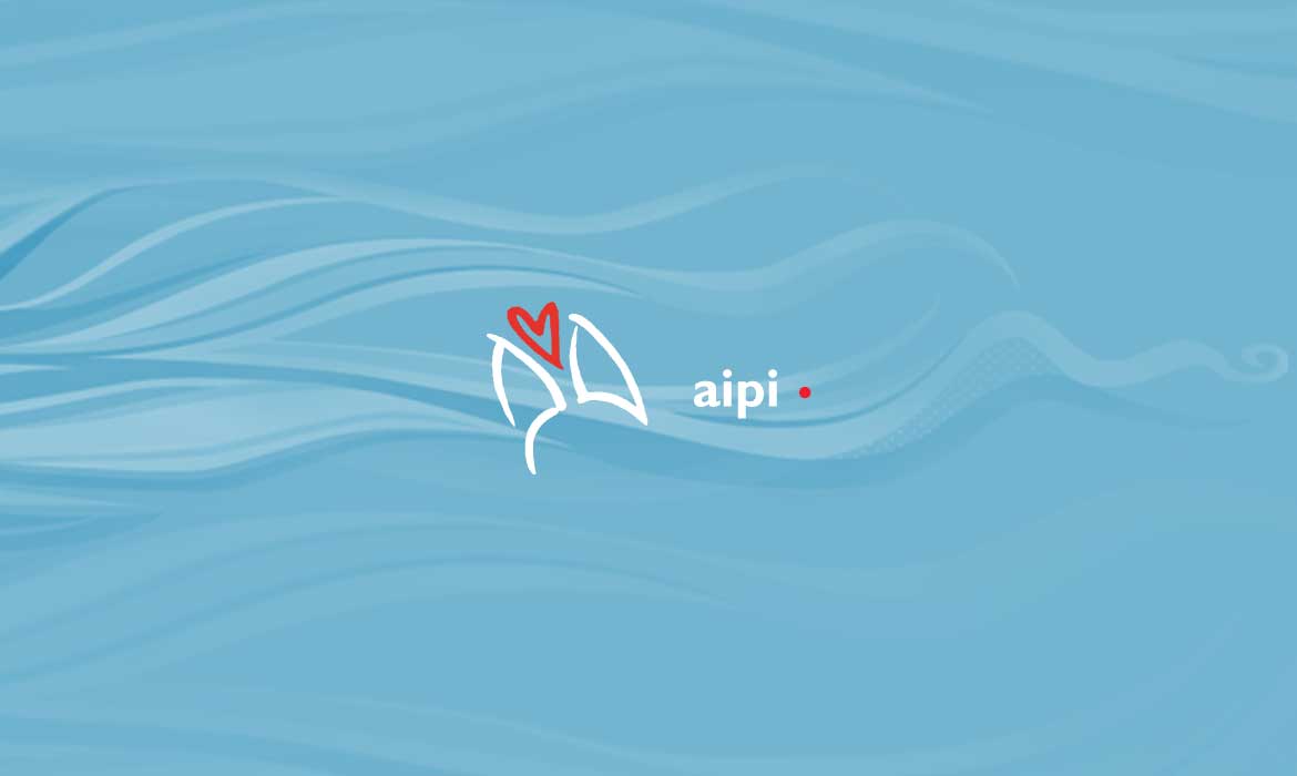 AIPI - Default picture