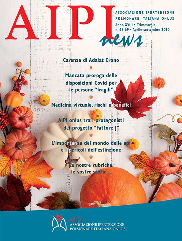 AIPI News n.68-69 - 2020