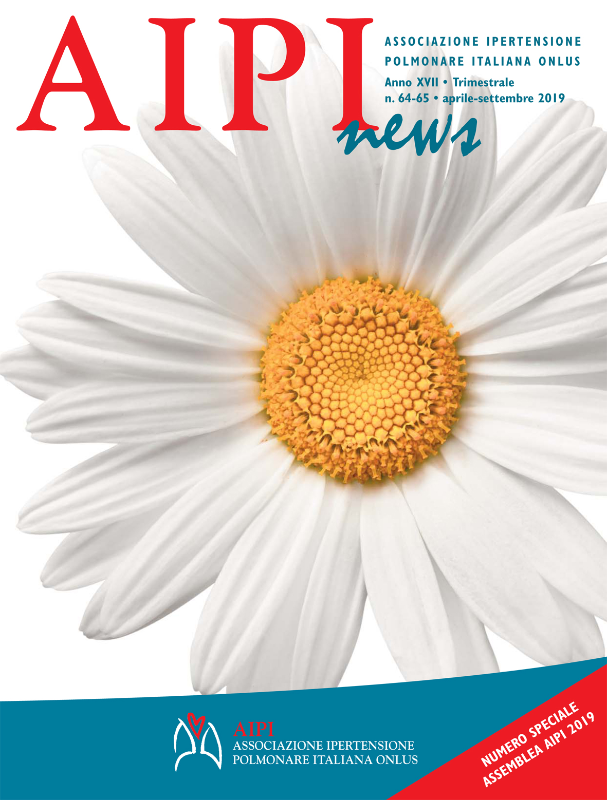 AIPI News n.64-65 - 2019