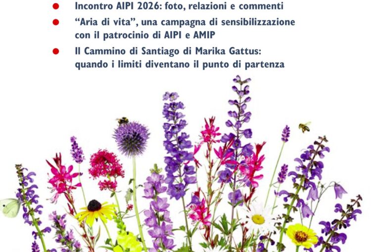 Copertina AIPI n.92 - 2026